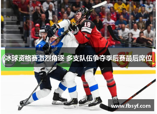 冰球资格赛激烈角逐 多支队伍争夺季后赛最后席位
